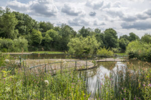 A view of the Withy Pool in Telford Town Park.